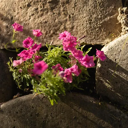 Michaela * Neustift im Stubaital