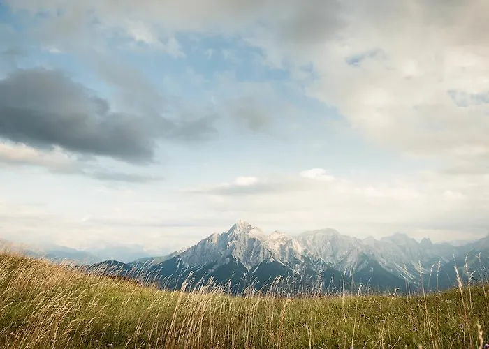 Michaela * ניוסטיפט אים סטובאיטל