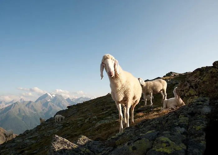 Michaela ניוסטיפט אים סטובאיטל