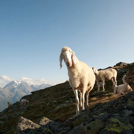 Michaela Neustift im Stubaital